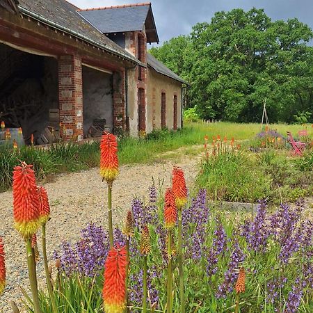 Ecolodges De Loire & Spa Gennes-Val-de-Loire Ngoại thất bức ảnh