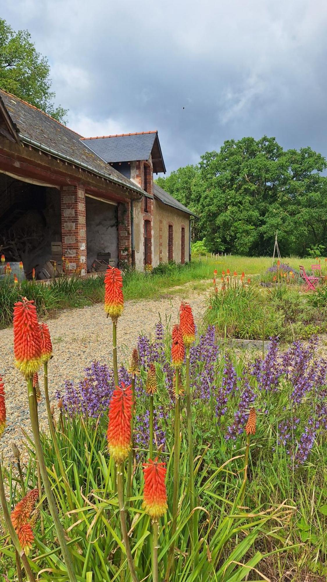 Ecolodges De Loire & Spa Gennes-Val-de-Loire Ngoại thất bức ảnh