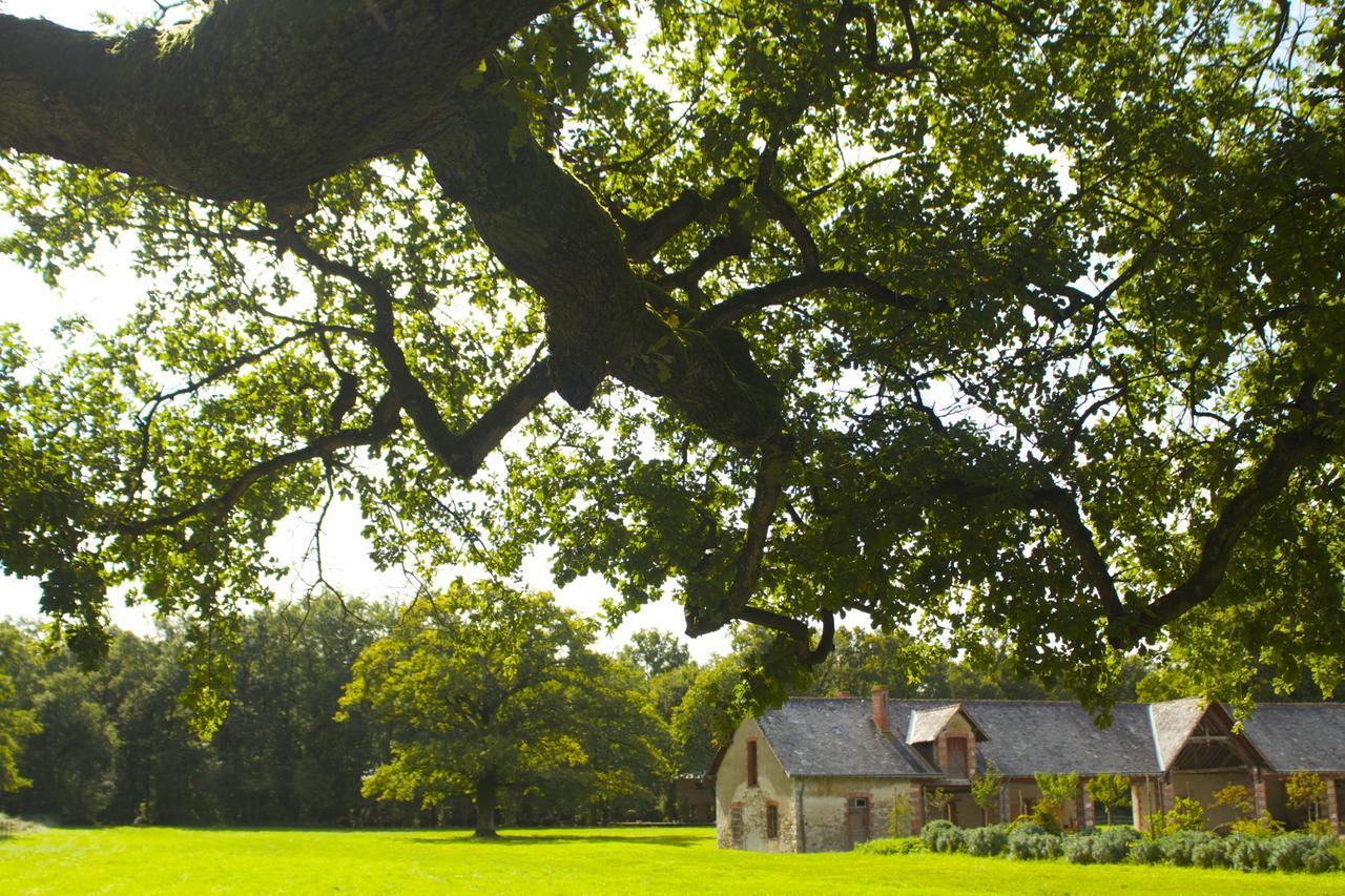 Ecolodges De Loire & Spa Gennes-Val-de-Loire Ngoại thất bức ảnh